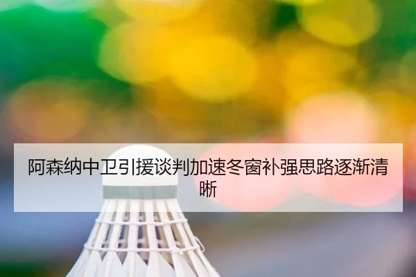 阿森纳中卫引援谈判加速冬窗补强思路逐渐清晰